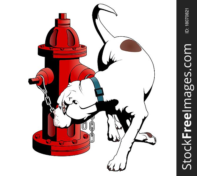 American Bulldog at the fire hydrant, isolated illustrations