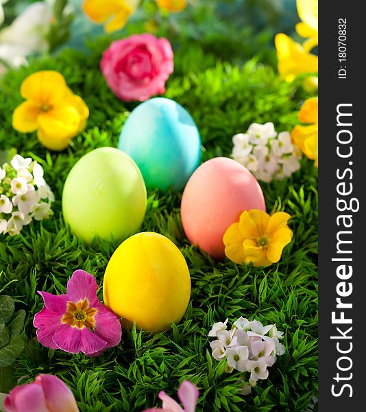 Colorful Easter Eggs on the grass