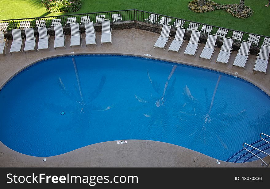 A reflection of three palm trees in a pool. A reflection of three palm trees in a pool