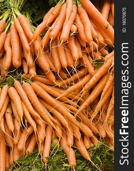 Bunches of Carrots set out and ready for sale