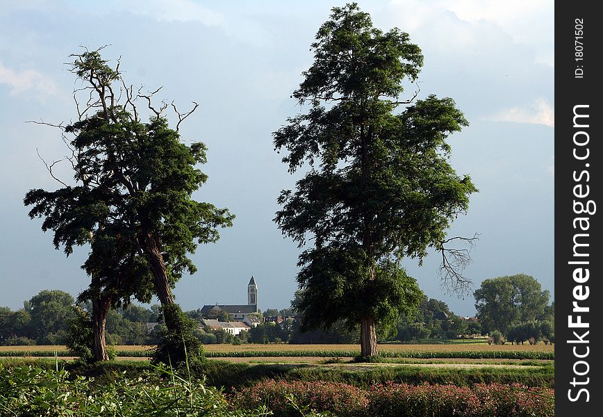 View through trees on village with church tower. View through trees on village with church tower