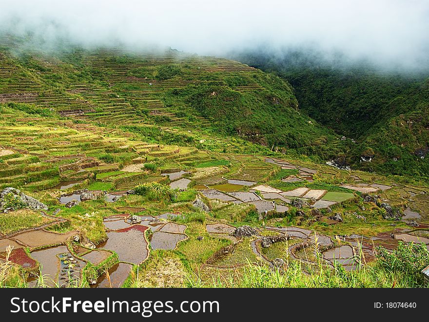 Hiking through the cold air swooping down on the rice terraces carved at the sides of the mountains.