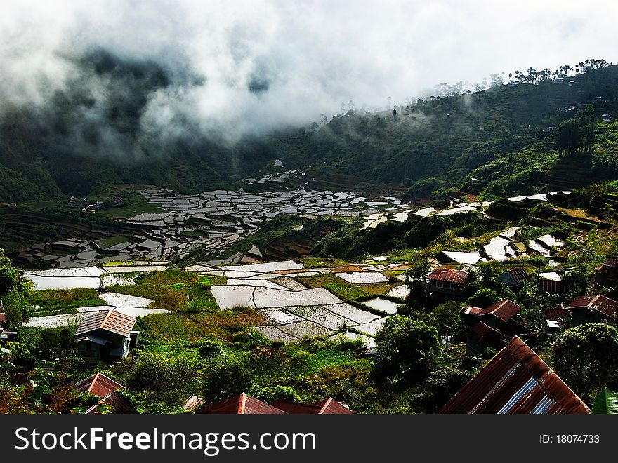 Hiking through the cold air swooping down on the rice terraces carved at the sides of the mountains.