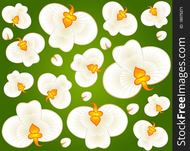 Background with beautiful orchids for a design