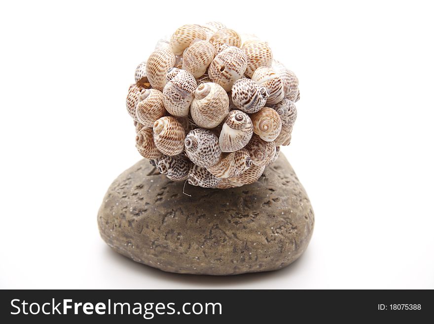 Ball With Sea Shells