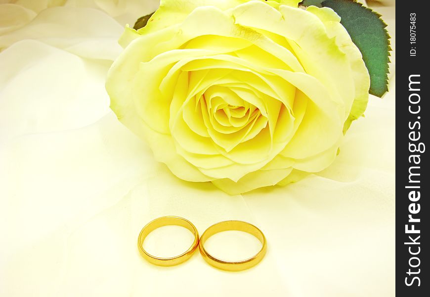 Yellow rose and wedding rings on satin beige background