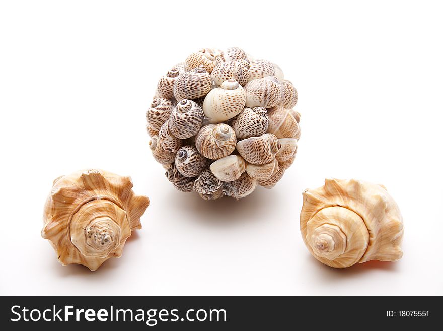 Ball with sea shells on stone