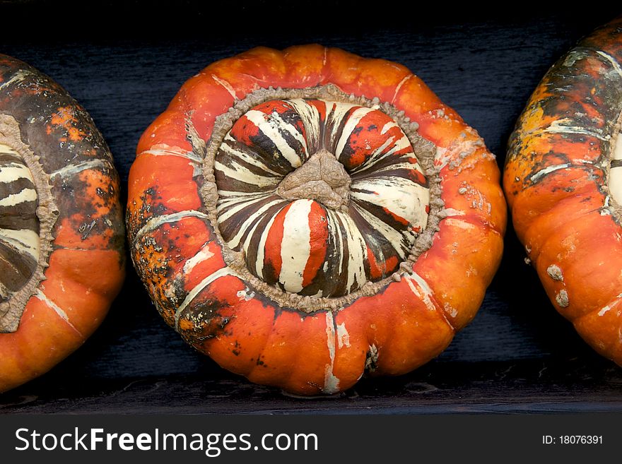 Orange pumpkins in a wonderful display