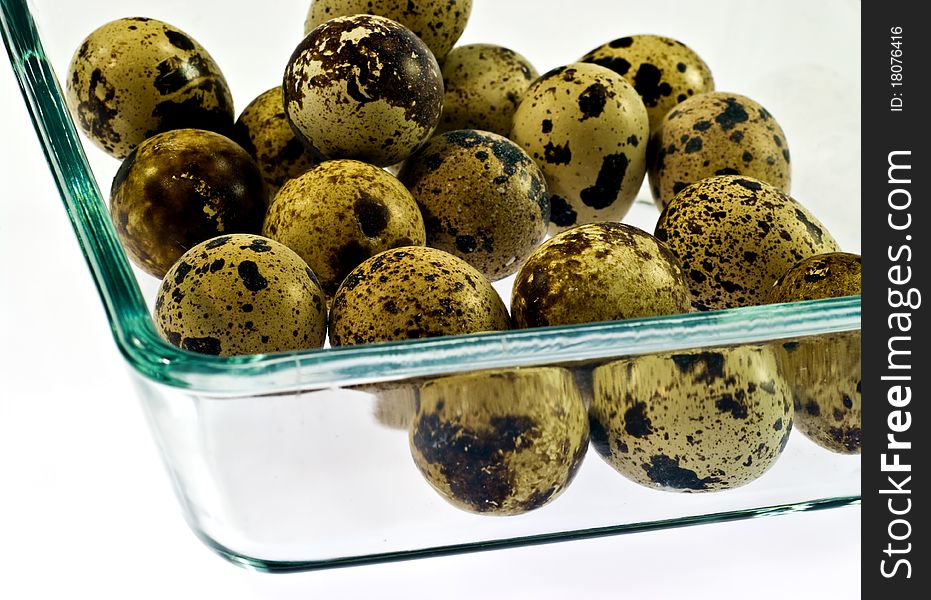 Common Quail eggs on white background