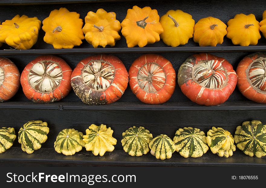 Three rows of pumpkins arranged by colour and shape