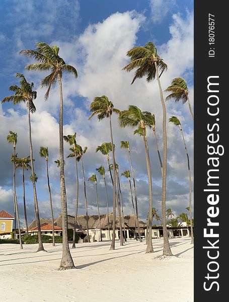 The empty caribbean beach on the morning