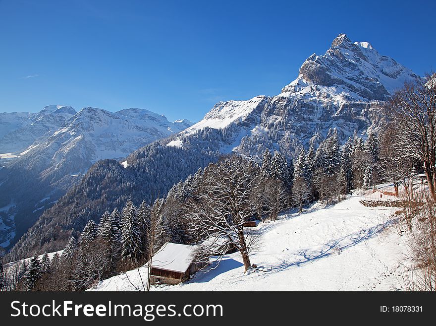 Winter landscape