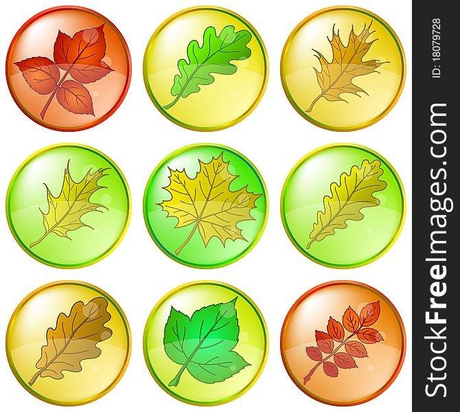 Leaves buttons, green, eps10, set. Leaves buttons, green, eps10, set