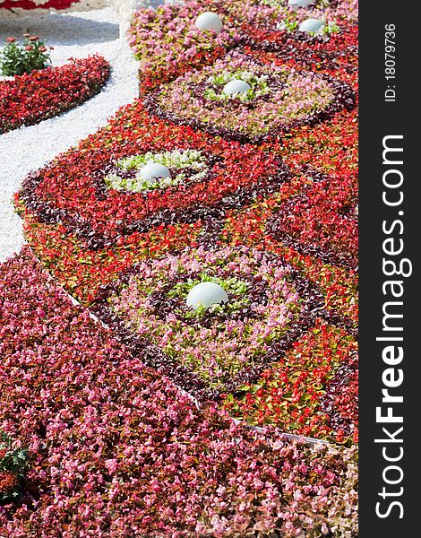 Nature series: fresh flower outdoor design texture. Nature series: fresh flower outdoor design texture