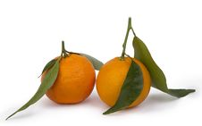 Ripe Tangerines Royalty Free Stock Photo Ripe Tangerines Royalty Free Stock Photo