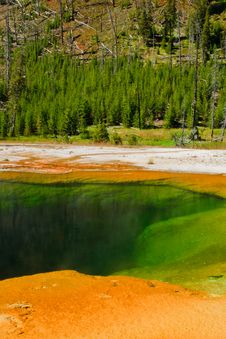 Emerald Pool, Yellowstone Royalty Free Stock Image