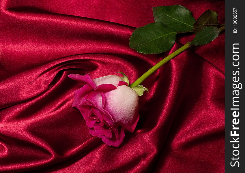 Pink rose on red satin background. Pink rose on red satin background