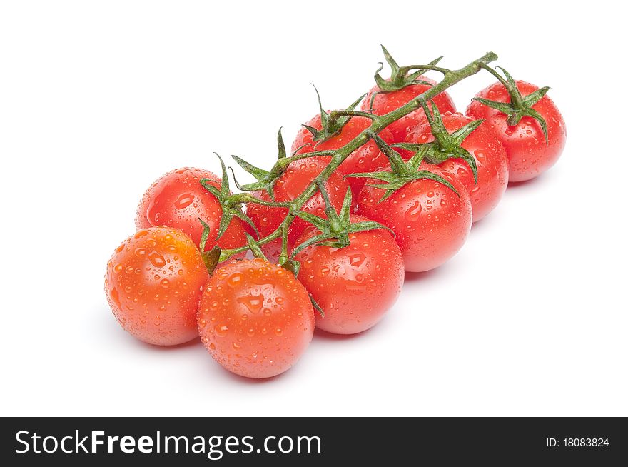 Ripe red cherry tomatoes on the branch with water drops.