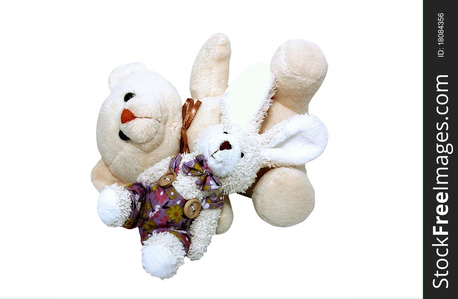 Bear and rabbit lying isolated on a white background