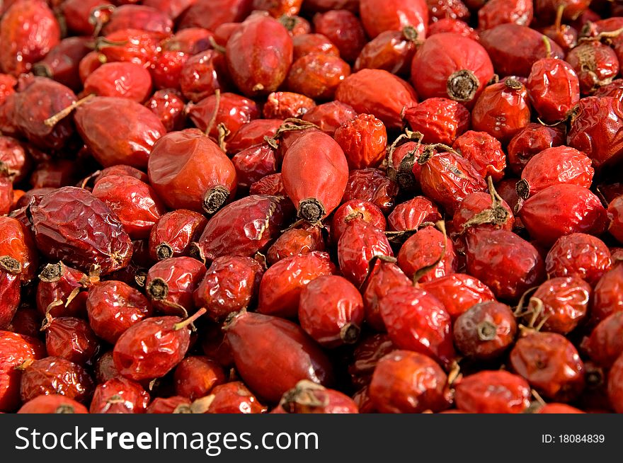 Dried berries of a dog-rose is photographed on the close-up