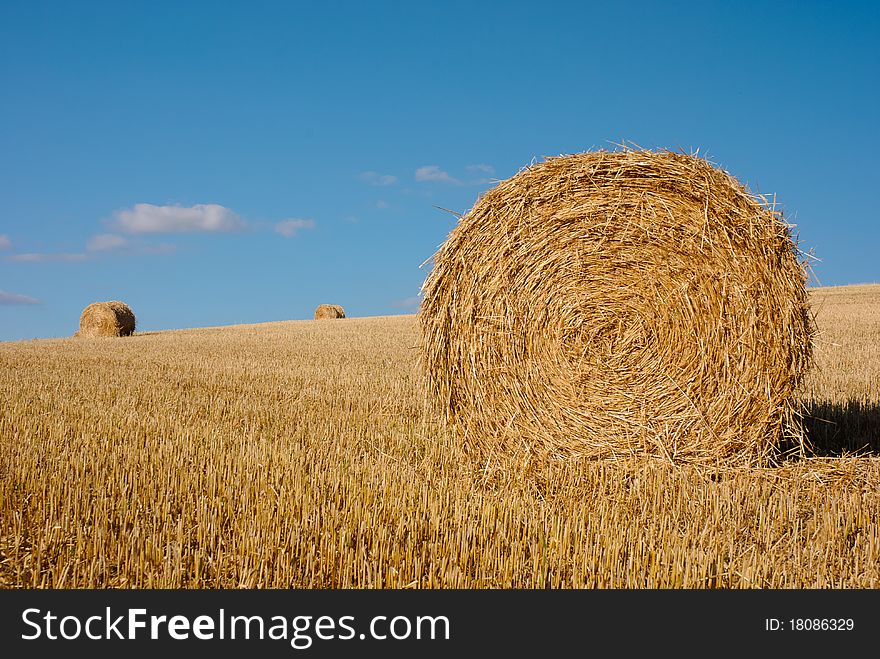 Bales of straw in a freshly harvested wheatfield