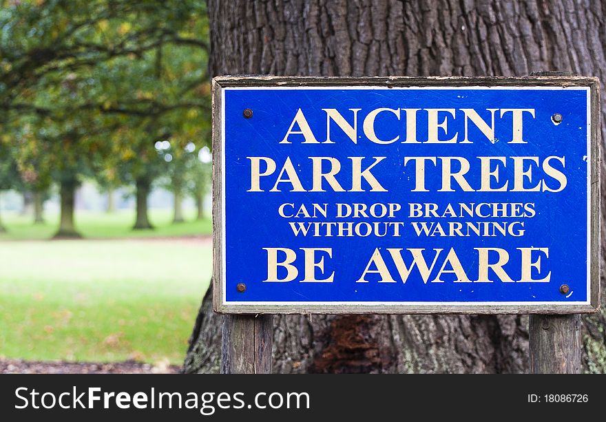 Ancient Park Trees can drop branches without warning. Ancient Park Trees can drop branches without warning.