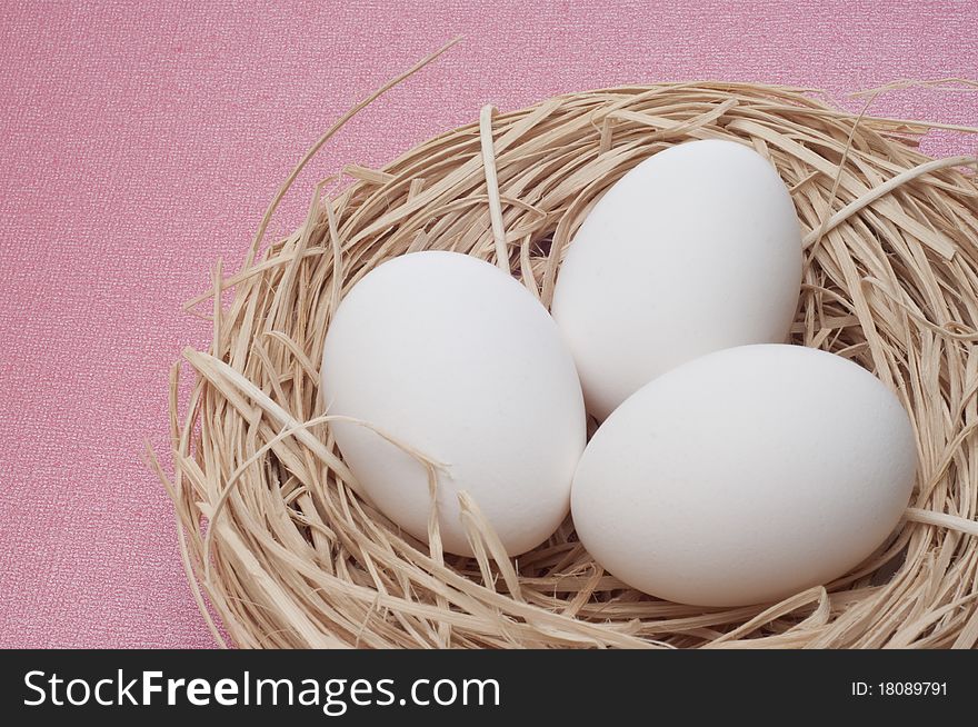 Eggs in a Nest on a Pastel Colored Background Easter Concept.