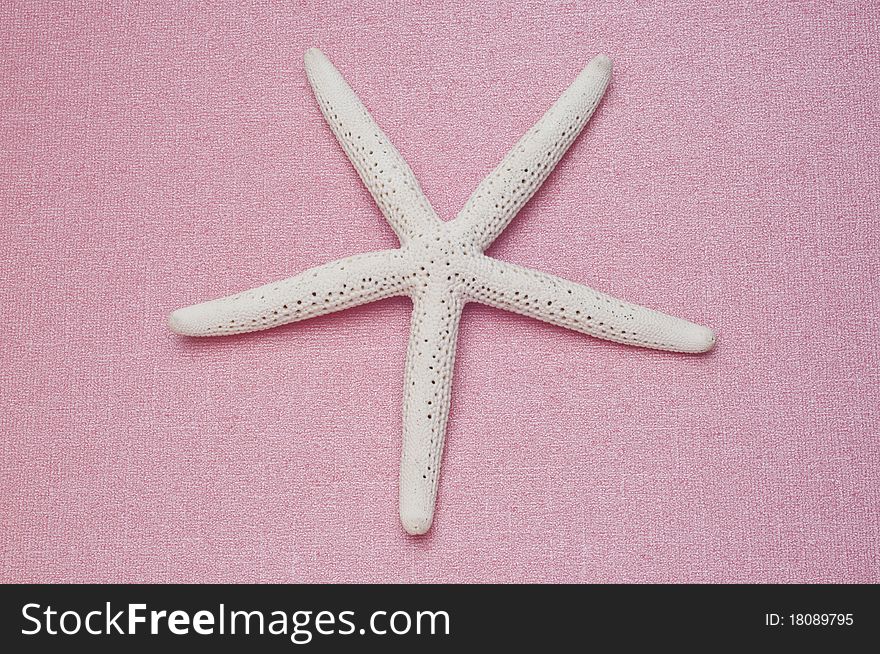 Starfish on Pink Beach Ocean Travel Concept.