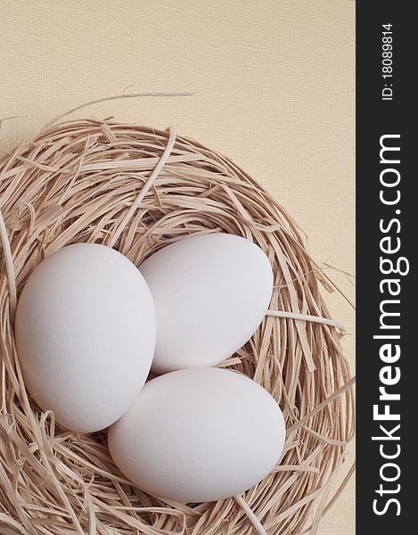 Eggs in a Nest on a Pastel Colored Background Easter Concept.