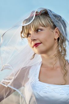 Beautiful Young Woman Bride Portrait Royalty Free Stock Image Beautiful Young Woman Bride Portrait Royalty Free Stock Image