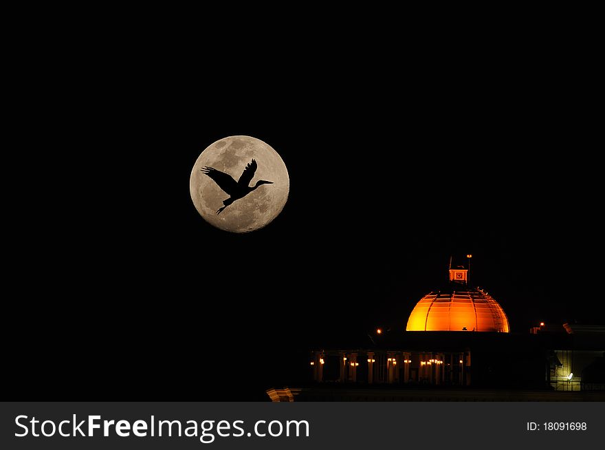 An open bill stork flying across the full moon. An open bill stork flying across the full moon