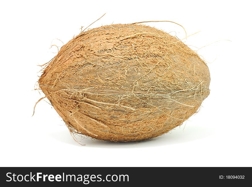 A coconut isolated on a white background