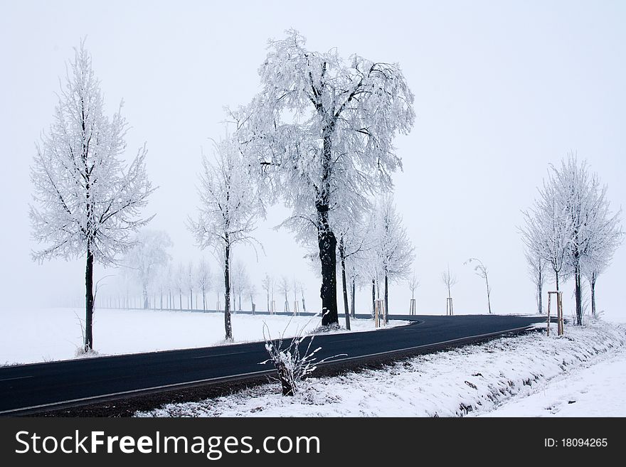 Snowy road, frozen trees and fog