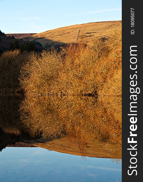 Lake Reflection. Vertical Composition of Trees Bushers and Moutain reflecting in calm lake during sunset. Lake Reflection. Vertical Composition of Trees Bushers and Moutain reflecting in calm lake during sunset