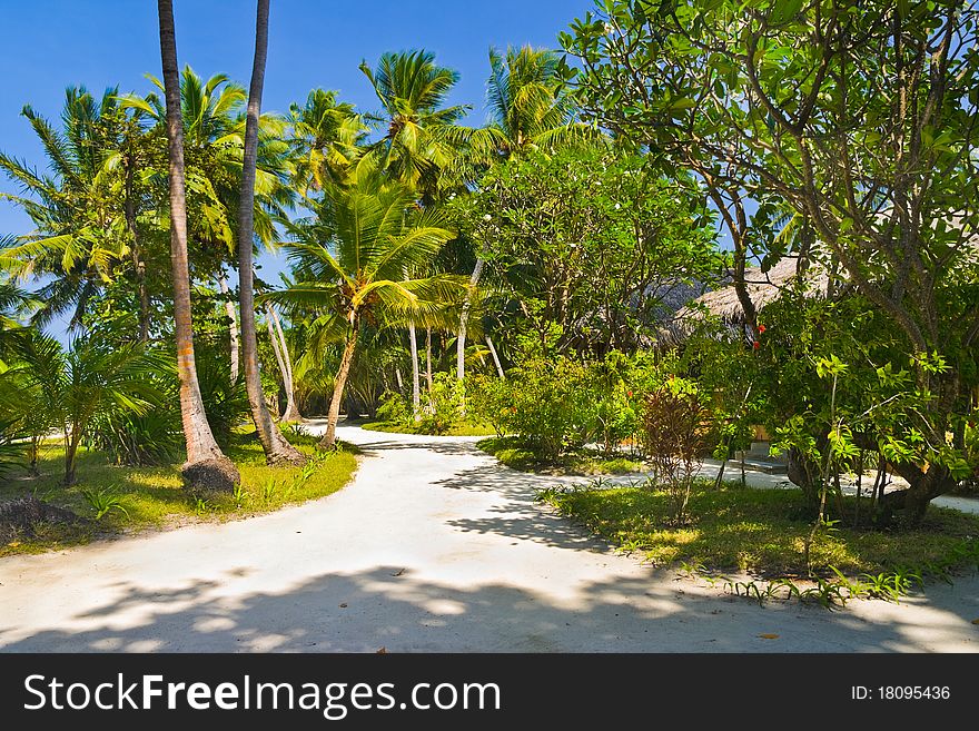 Bungalows On Beach And Sand Pathway