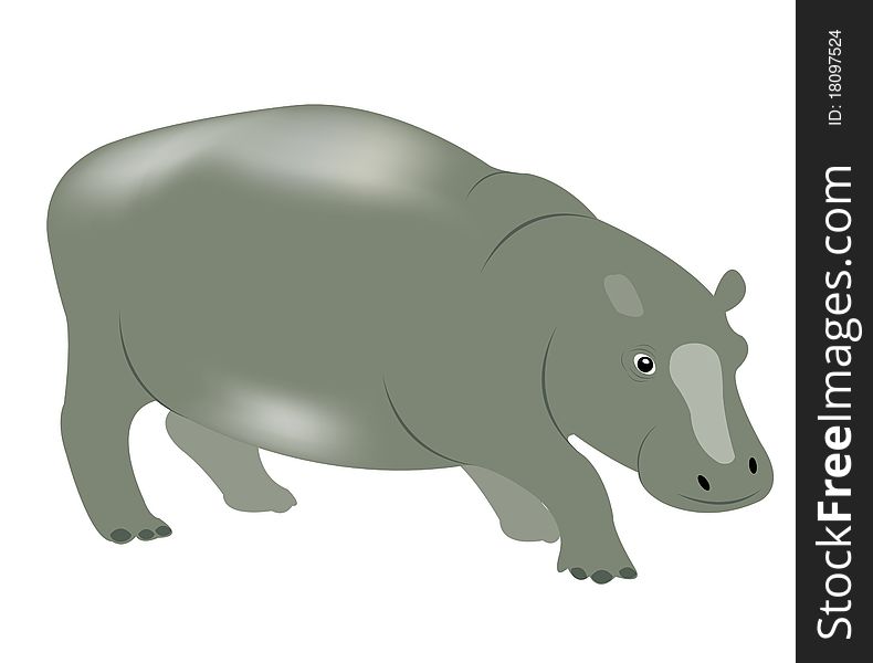 Illustration of the wildlife hippopotamus on white background. Illustration of the wildlife hippopotamus on white background