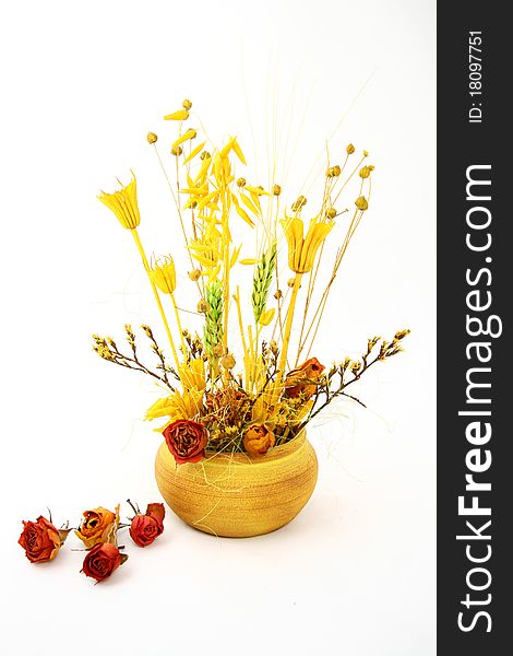 Arrangement made of dry cereals, dry flowers and a ceramic pot. Arrangement made of dry cereals, dry flowers and a ceramic pot