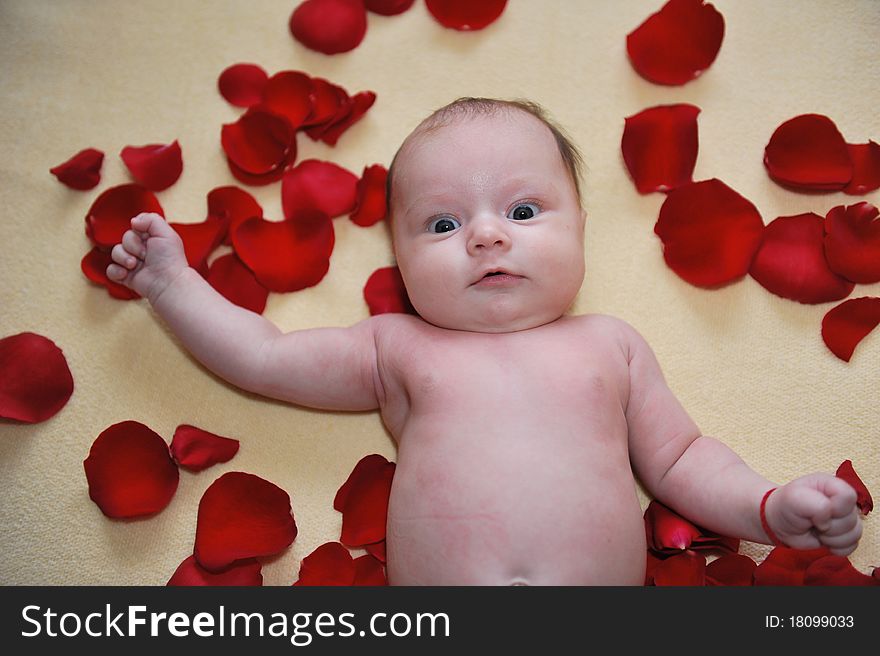 Portrait with little baby girl with roses around