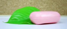 Wellness Soap Stock Images Wellness Soap Stock Images