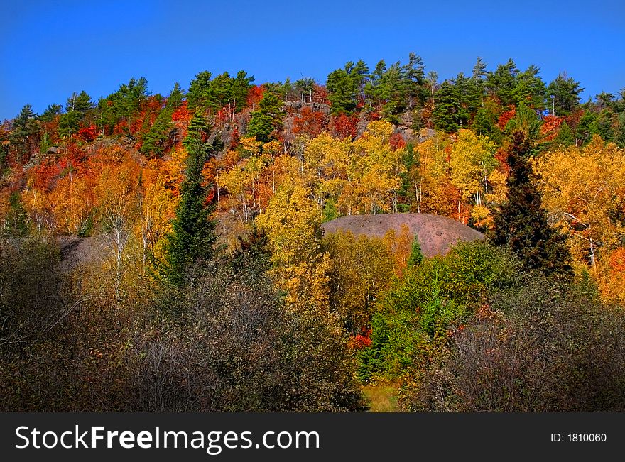 Colorful trees on a hill at copper harbor area. Colorful trees on a hill at copper harbor area