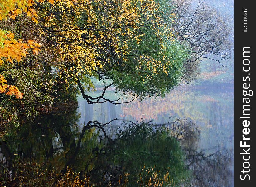 Autumn park on island Elaginom