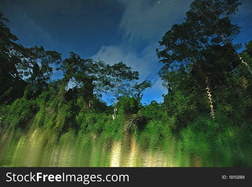 water reflection of trees and skies