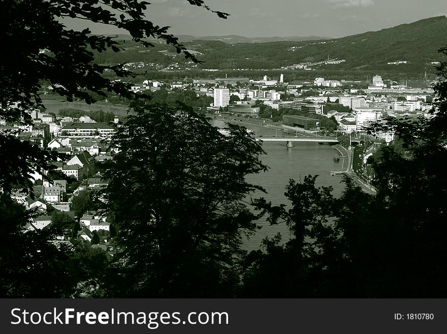 View From A Hill Through Trees On Linz B/W