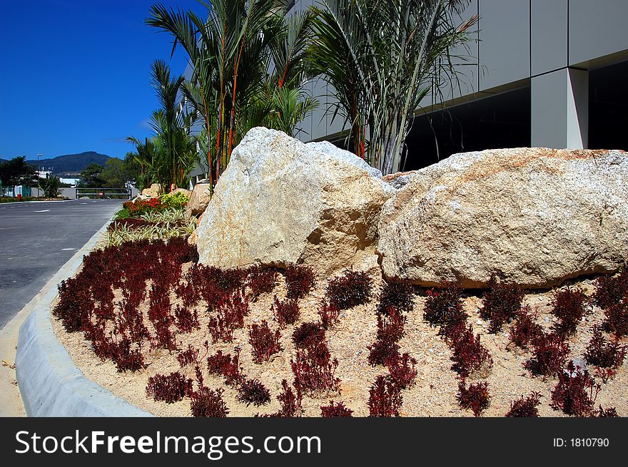 Landscape of small red plants with huge rocks as background