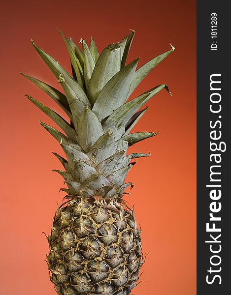Pineapple fruit on colored background