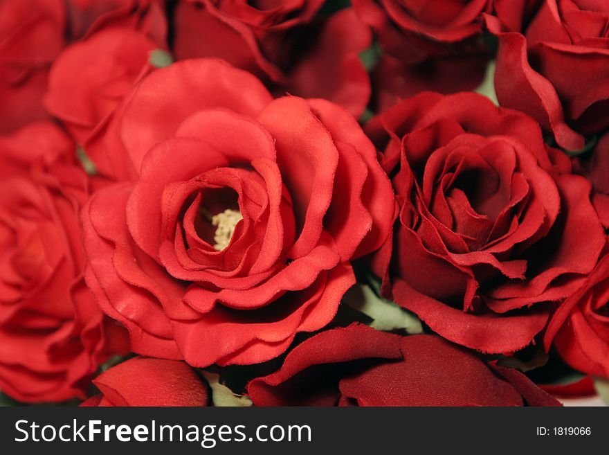 Bunch of beautiful red roses close up