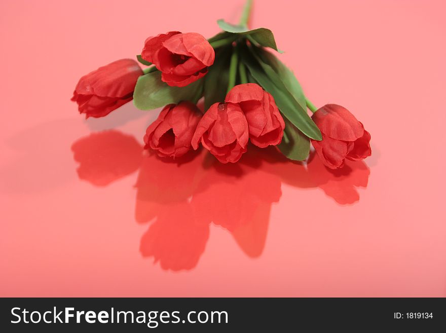 Beautiful red tulips in a bouquet - reflection. Beautiful red tulips in a bouquet - reflection