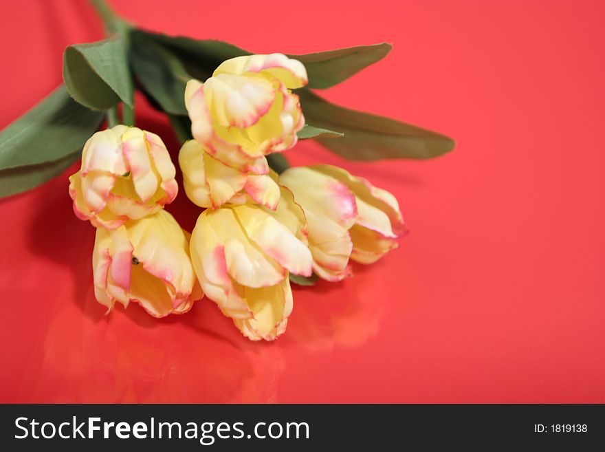 Beautiful yellow tulip bouquet