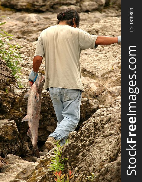 Indian fisherman just catching a salmon