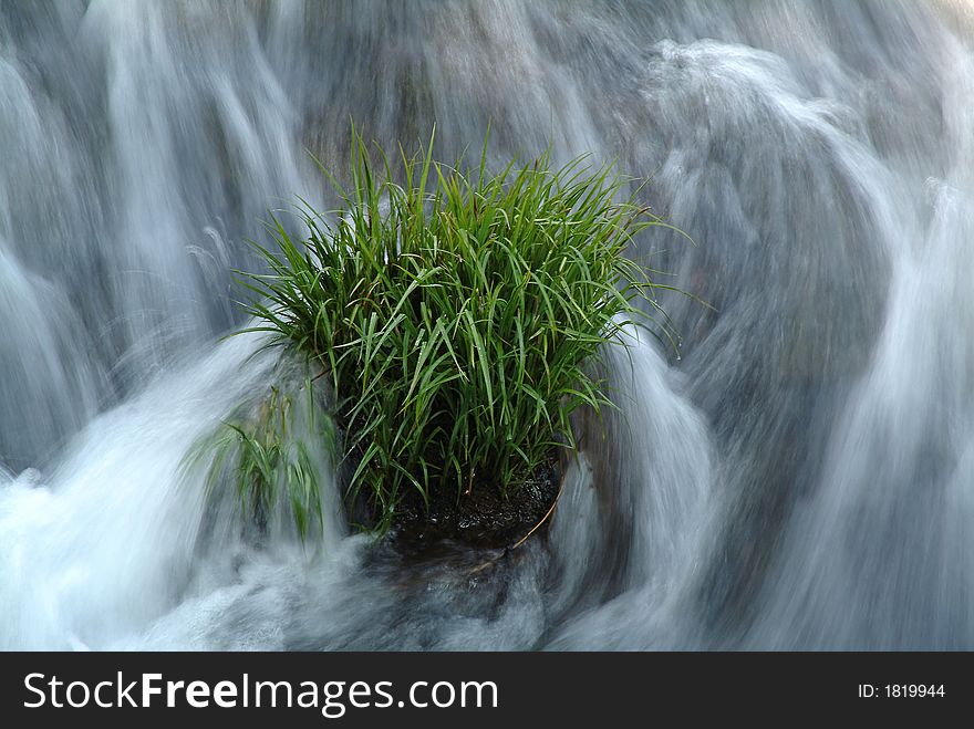 Grass with drops in a stream of waterfall. Grass with drops in a stream of waterfall